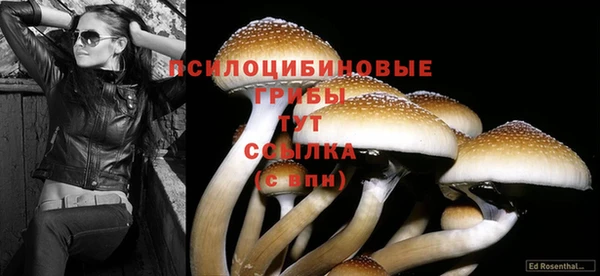 крисы Балахна