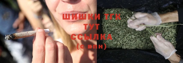 крисы Балахна