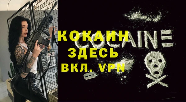 крисы Балахна