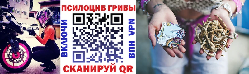 купить наркотики цена Солигалич Псилоцибиновые грибы MAGIC MUSHROOMS