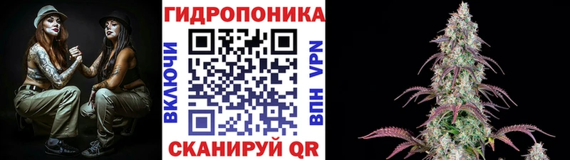 МАРИХУАНА план  площадка наркотические препараты  Солигалич 